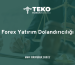 Forex Yatırım Dolandırıcılığı