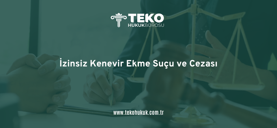 İzinsiz Kenevir Ekme Suçu ve Cezası